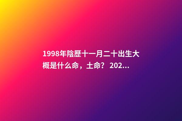1998年陰歷十一月二十出生大概是什么命，土命？ 2022年農歷11月20九點34分是什么命